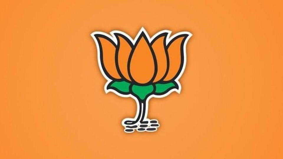 BJP rallies behind Jay Shah BJP rallies behind Jay Shah
