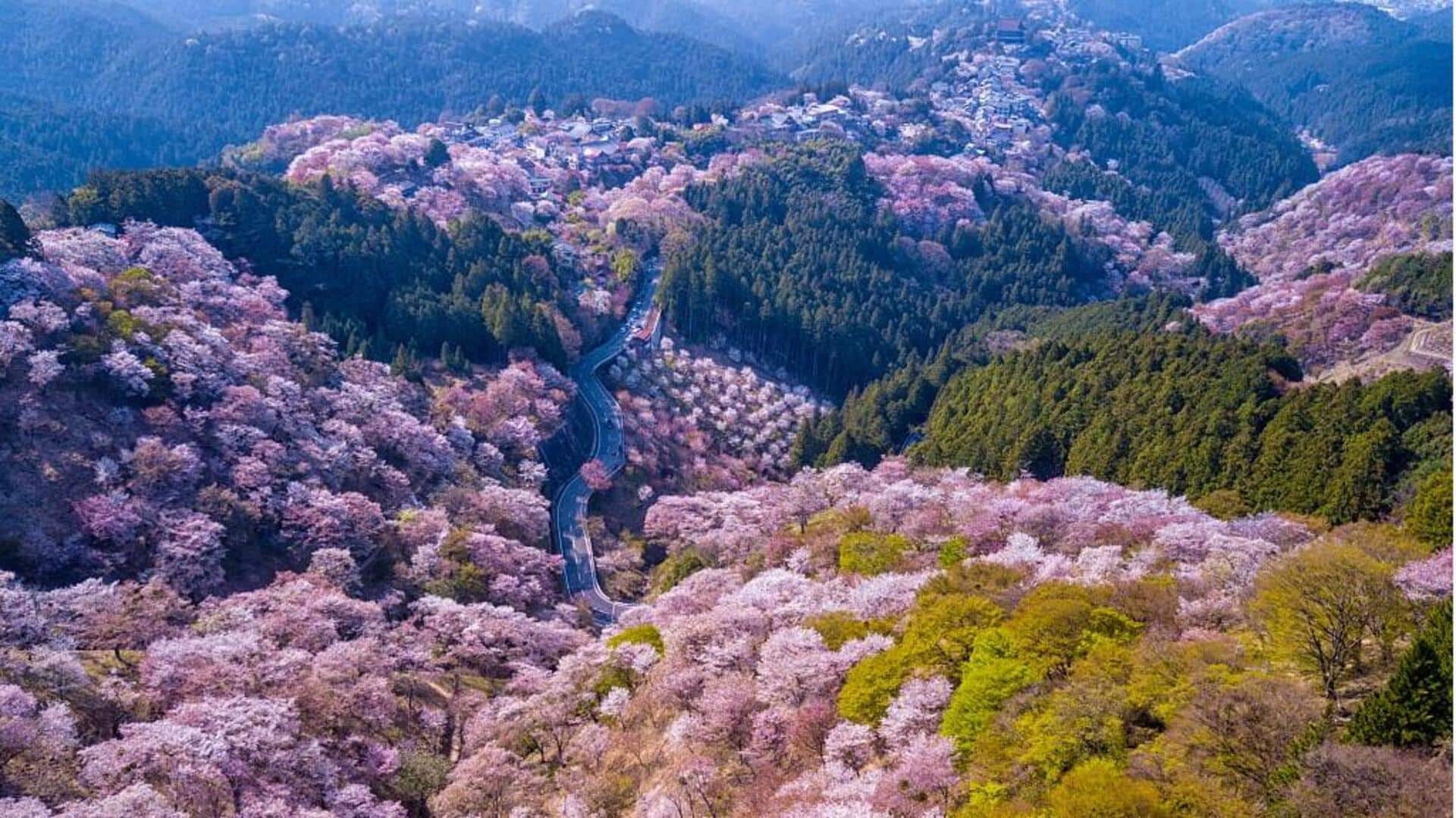 Mount Yoshino in Japan: Head over to these stunning spots