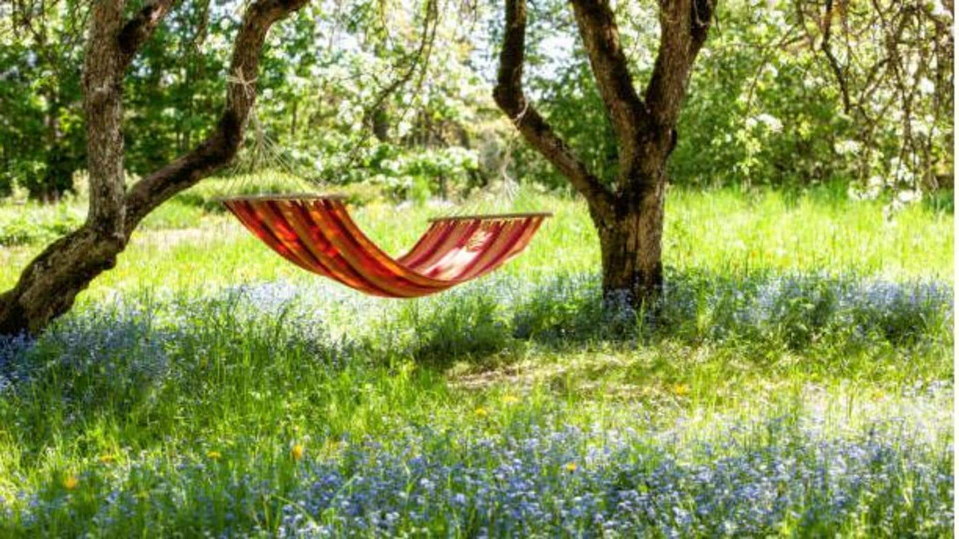 How to plan the perfect treetop hammock camping trip 