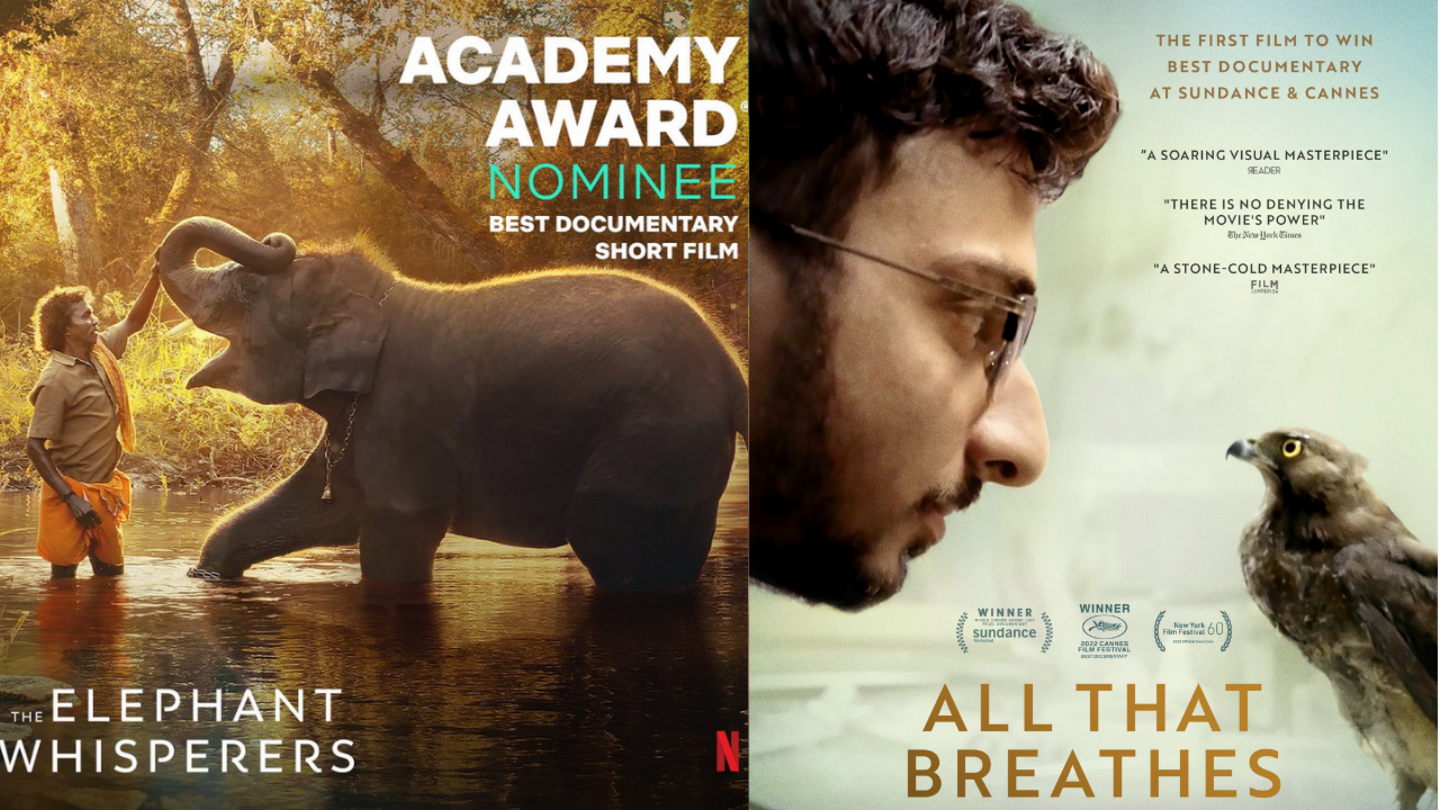 'All That Breathes,' 'Elephant Whisperers': Know everything about Oscar-nominated documentaries  