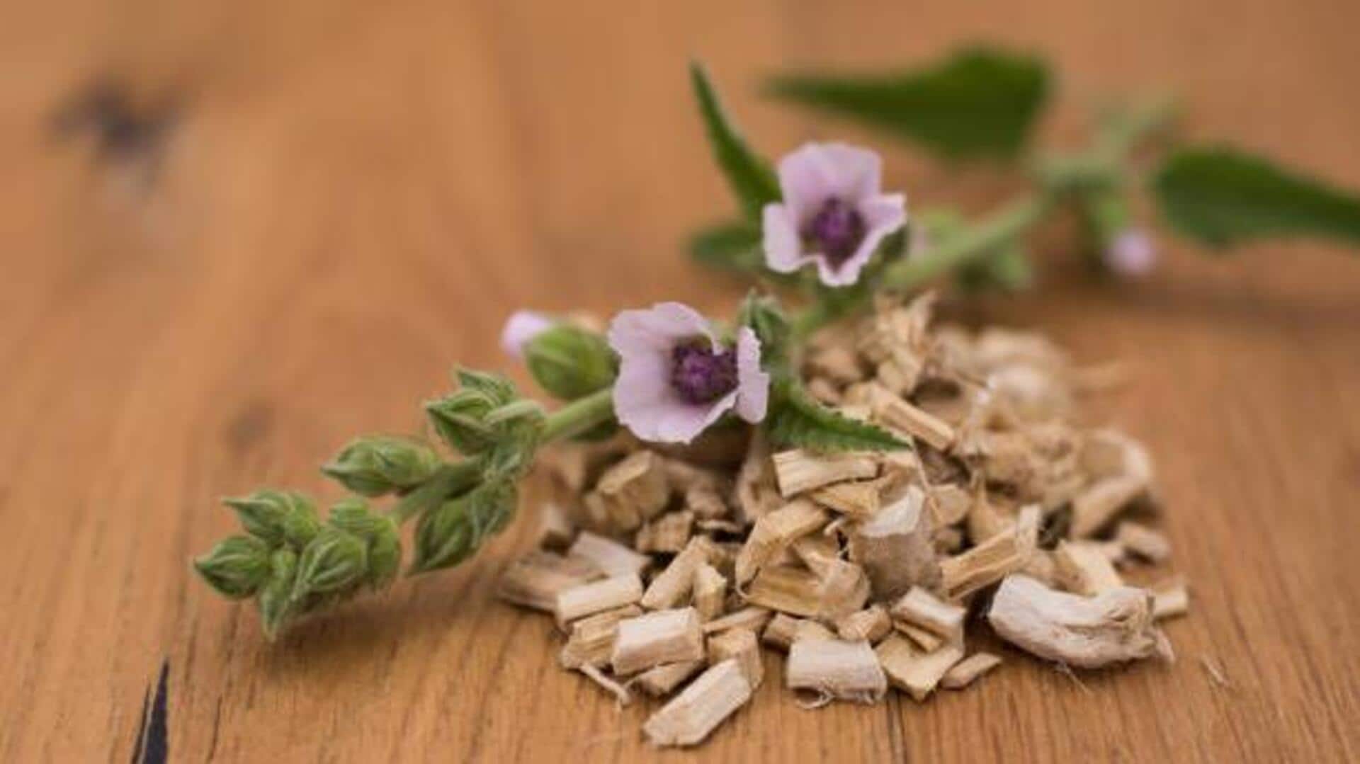 Try these dishes using marshmallow root Try these dishes using marshmallow root
