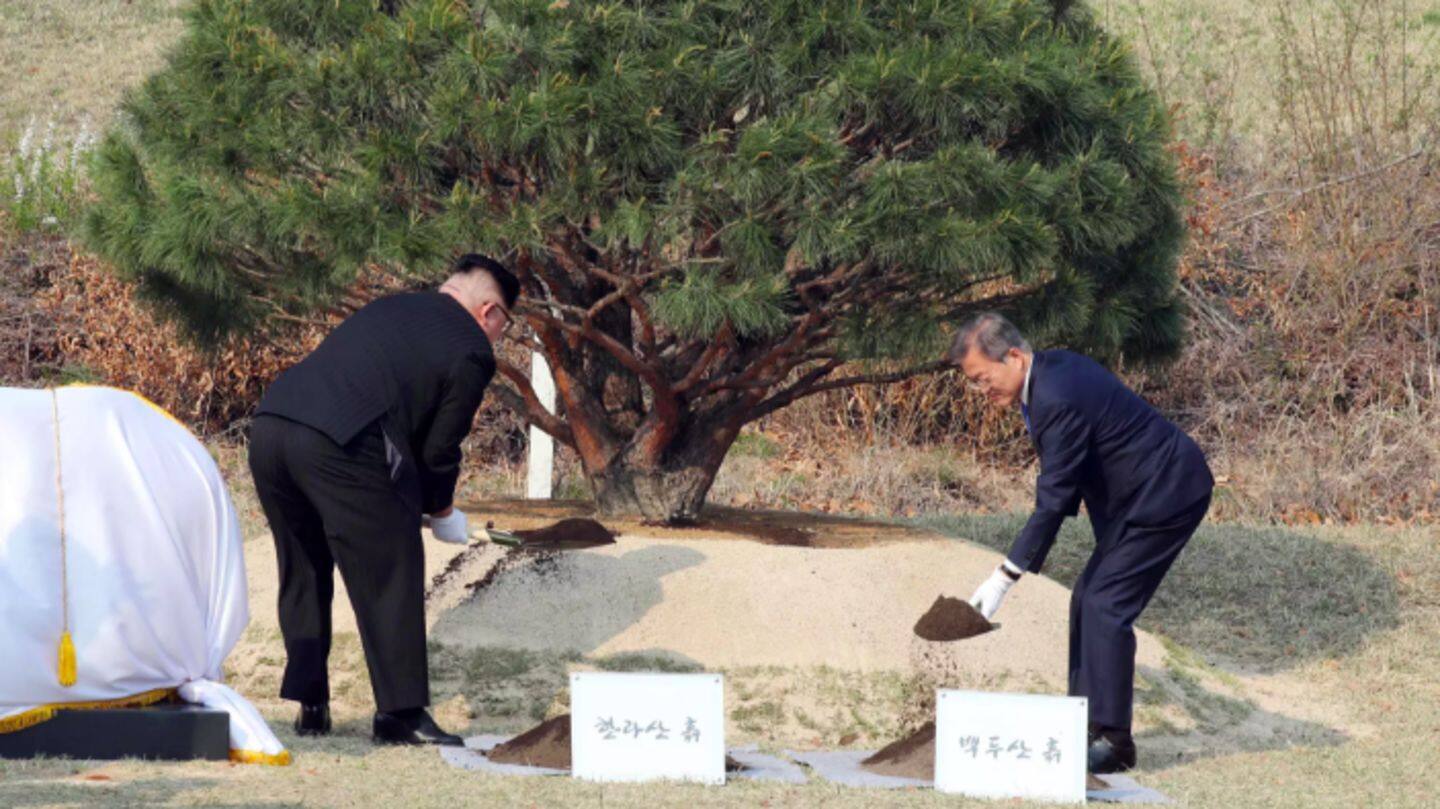 From hand holding to planting trees, they did it all From hand holding to planting trees, they did it all