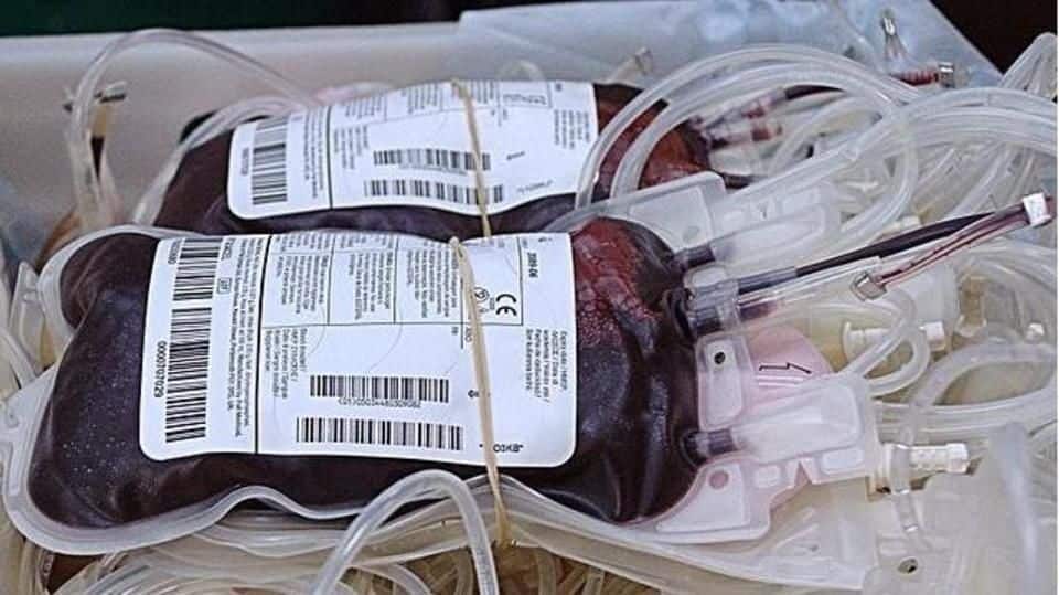 Know All About Golden Blood The Rarest Blood Type Newsbytes