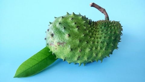 Incredible health benefits of soursop we bet you didn't know