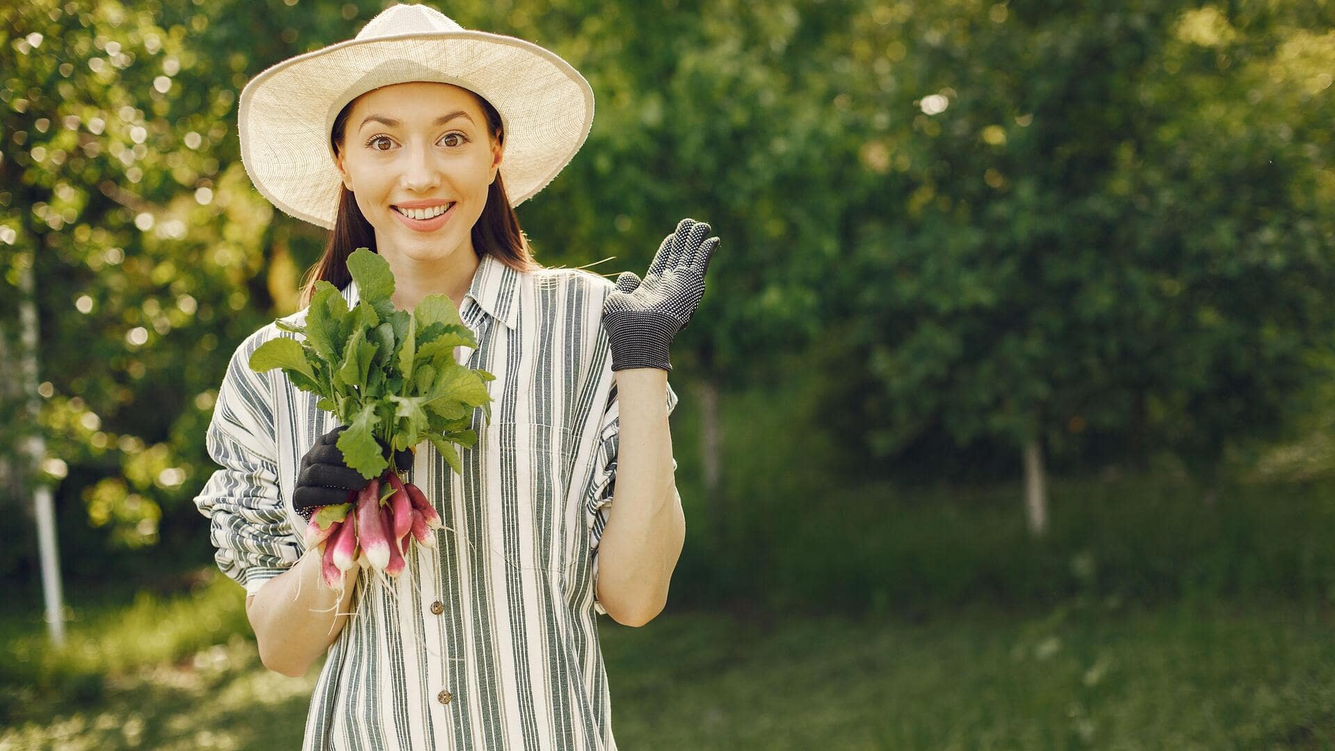 Grow fresh watermelon radishes in your garden