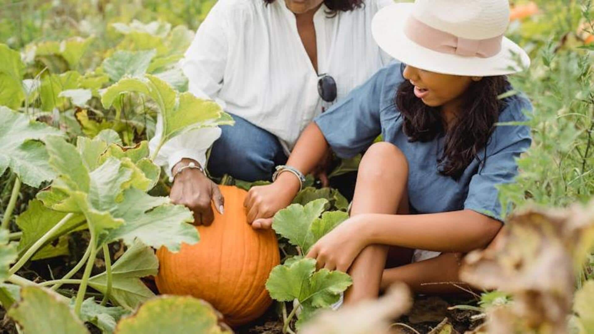 Pumpkin-enriched skin hydration masks you should try