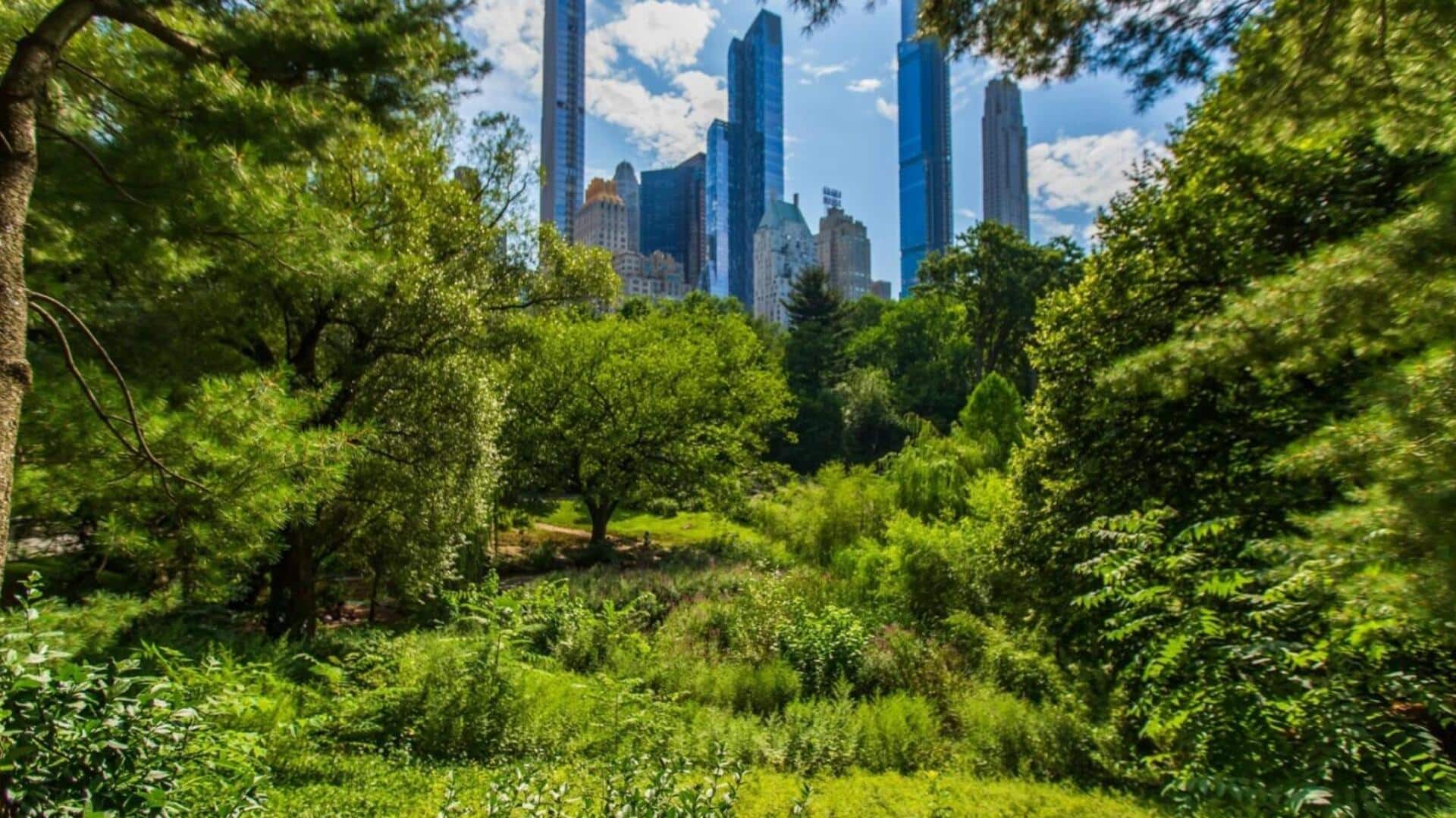 How to practice forest bathing in urban areas How to practice forest bathing in urban areas