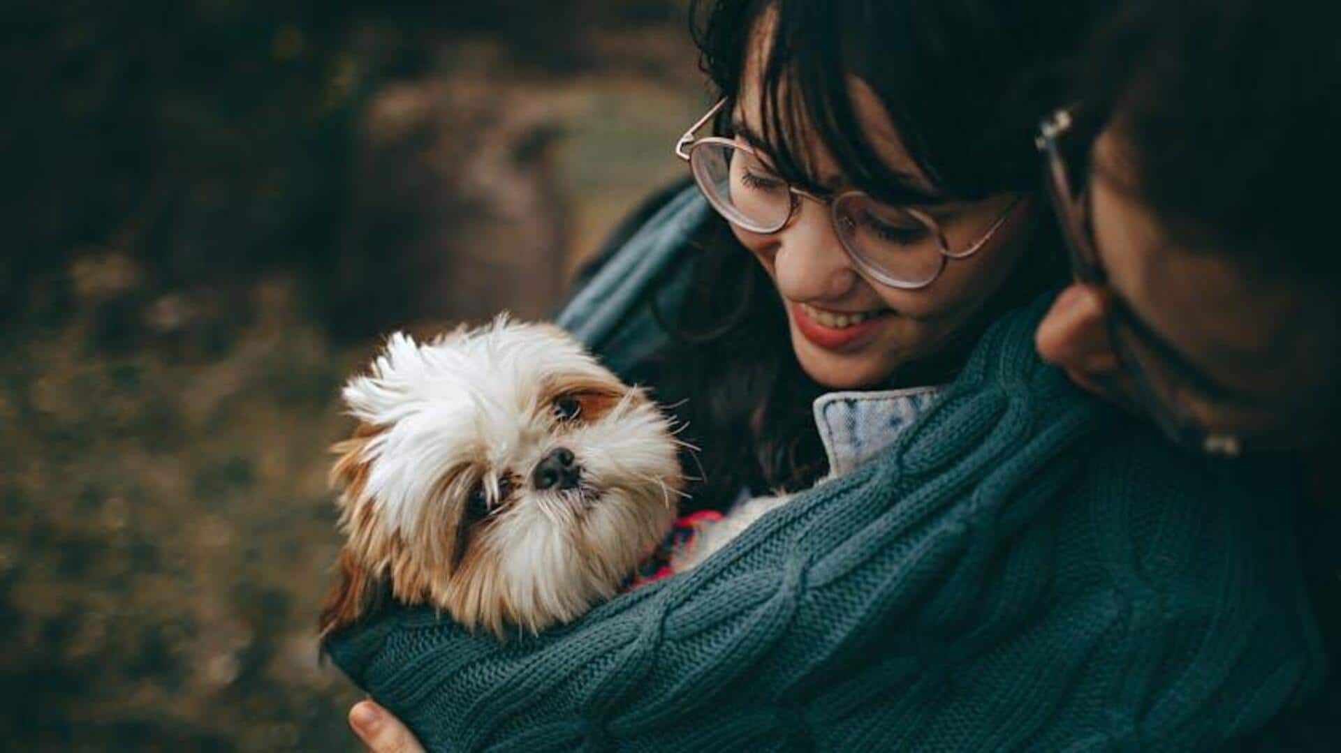 5 indoor activities to deepen your bond with your dog 5 indoor activities to deepen your bond with your dog