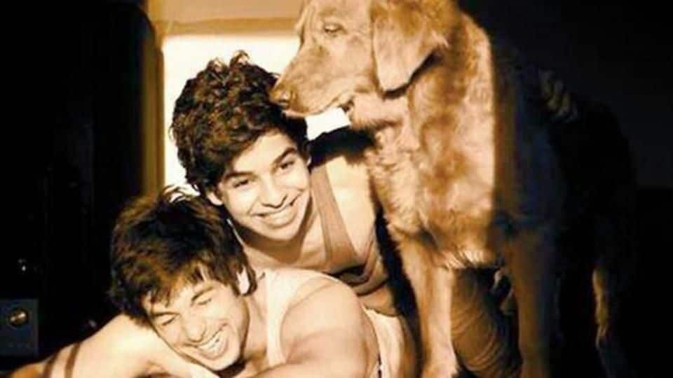 Is Ishaan Khattar bearing the brunt of being Shahid's brother?