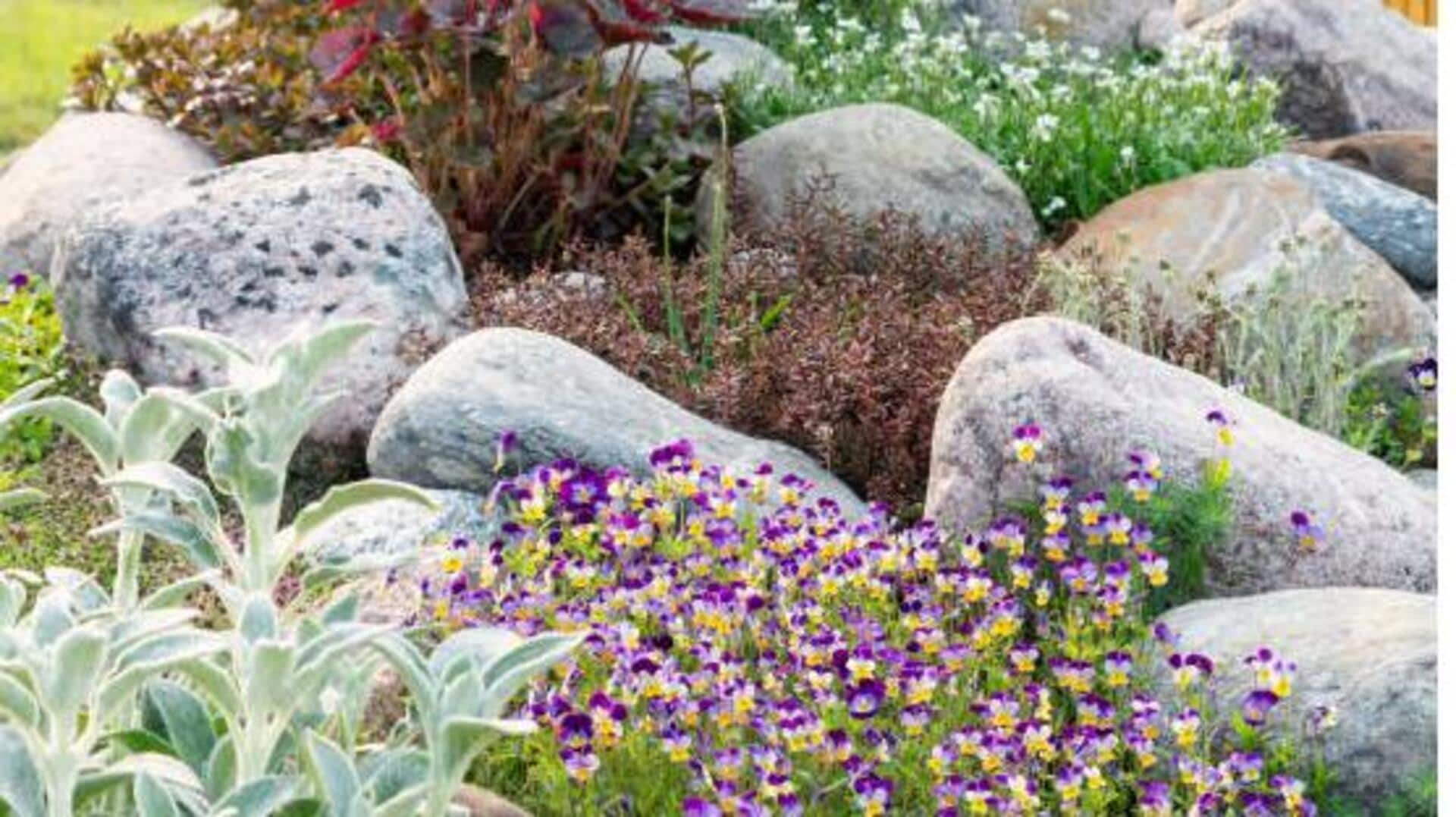 The peaceful art of African rock garden design