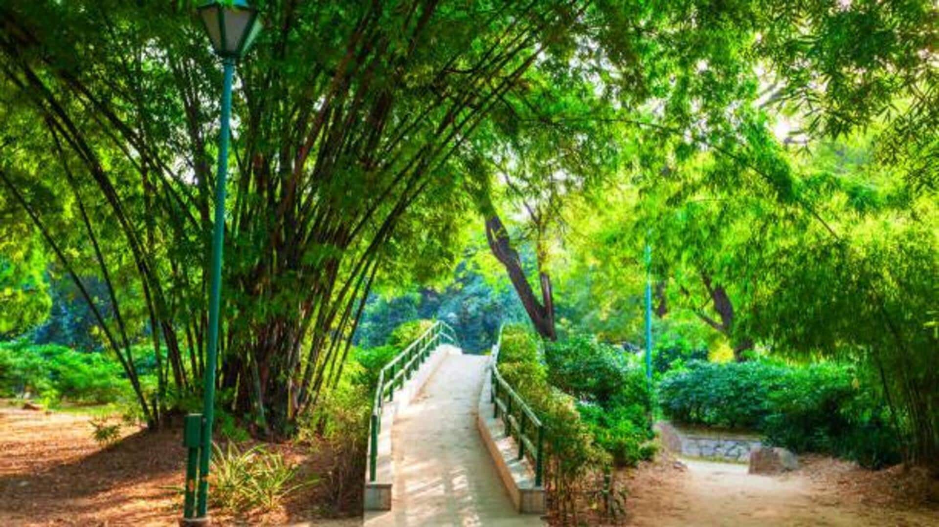 These are Delhi's best parks for nature lovers These are Delhi's best parks for nature lovers