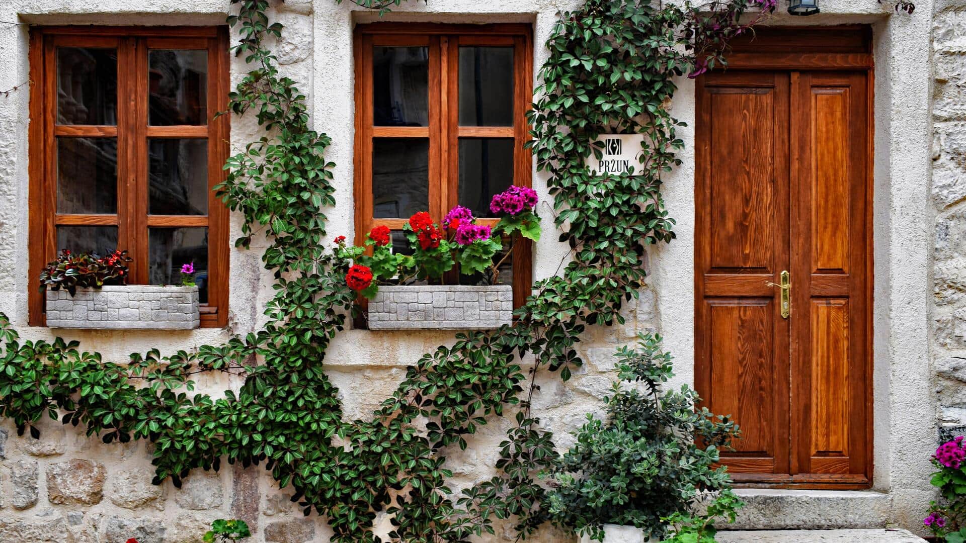 Easy ideas for a greener home entrance