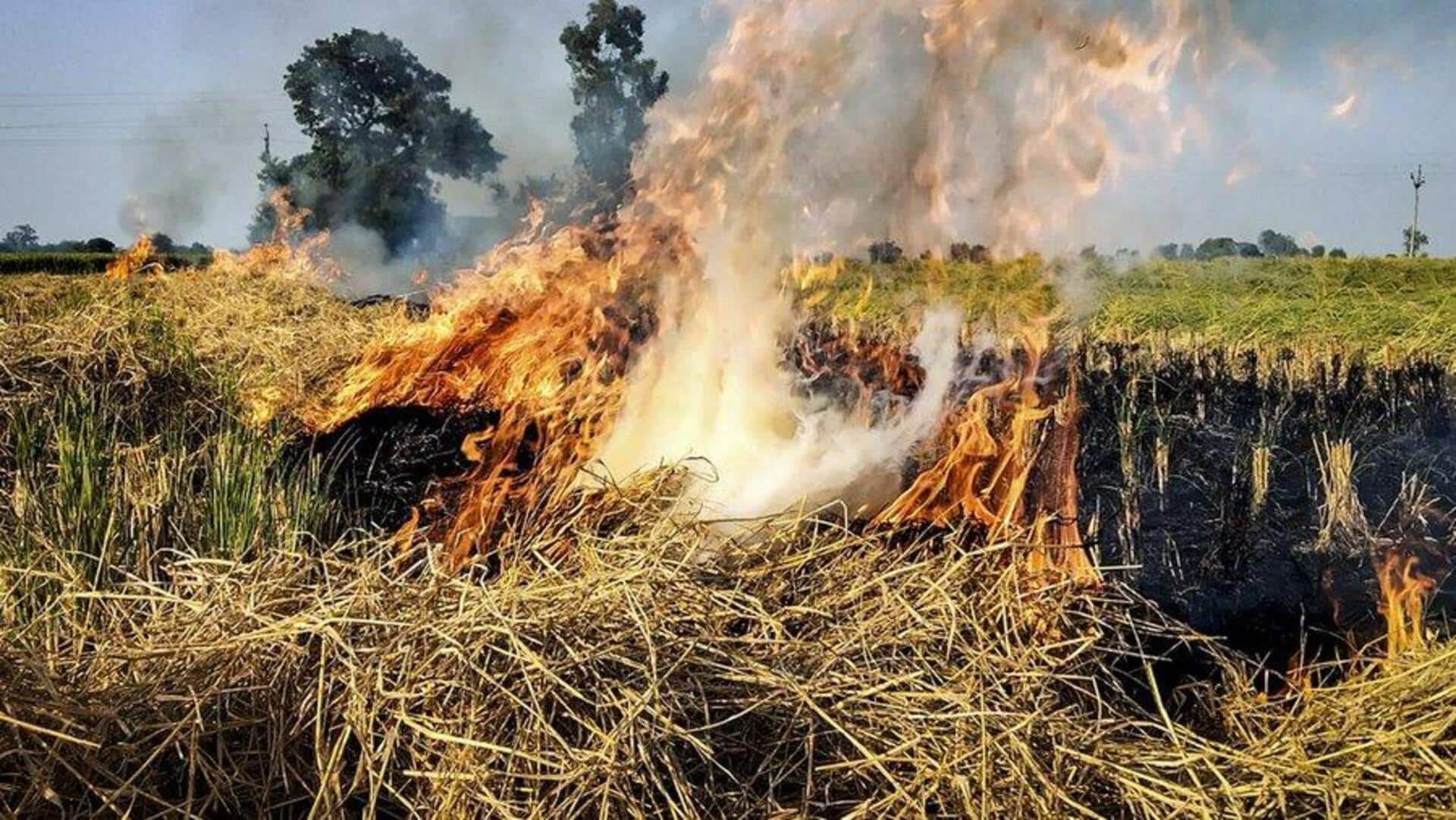 FIR, red entry against farmers who burn stubble: Haryana government