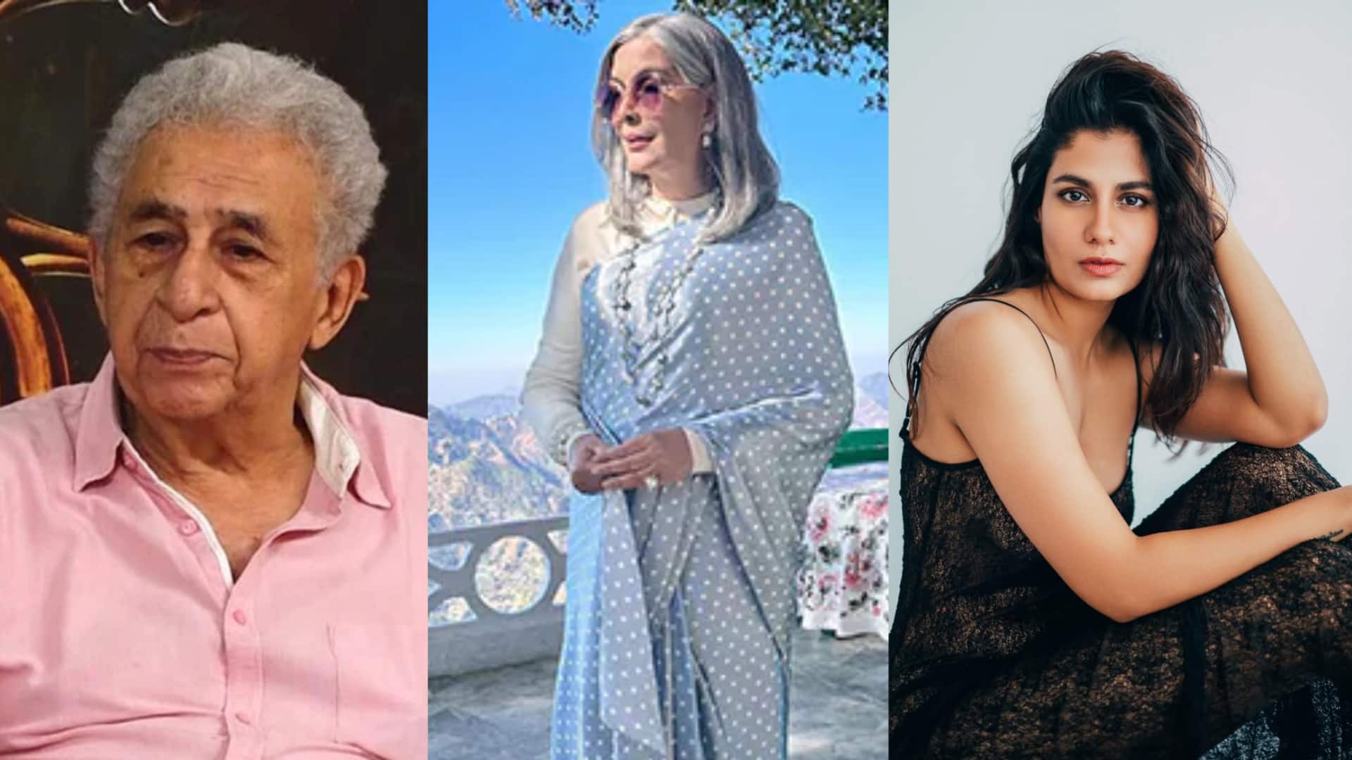 Bollywood supports Sonam Wangchuk's protest: Naseeruddin Shah to Shreya Dhanwanthary