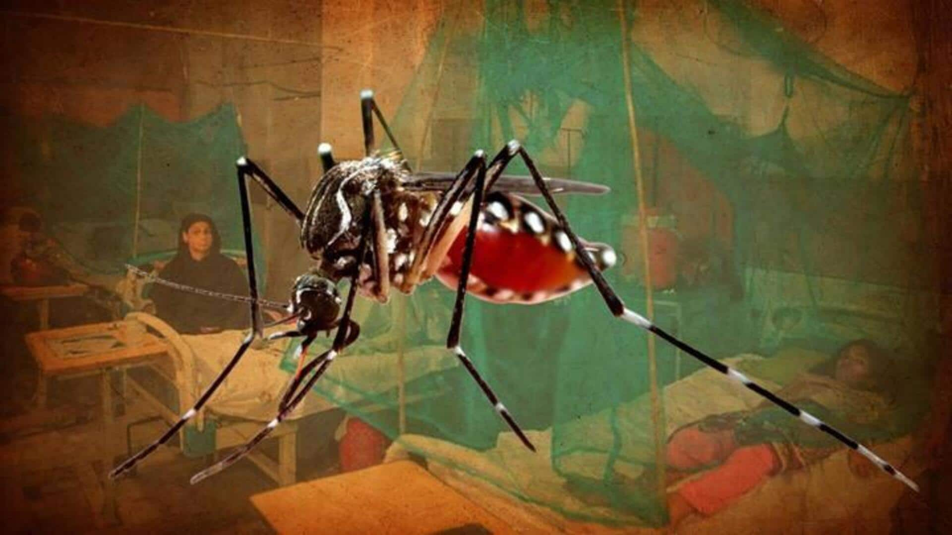 Karnataka government declares dengue fever an 'epidemic': What it means