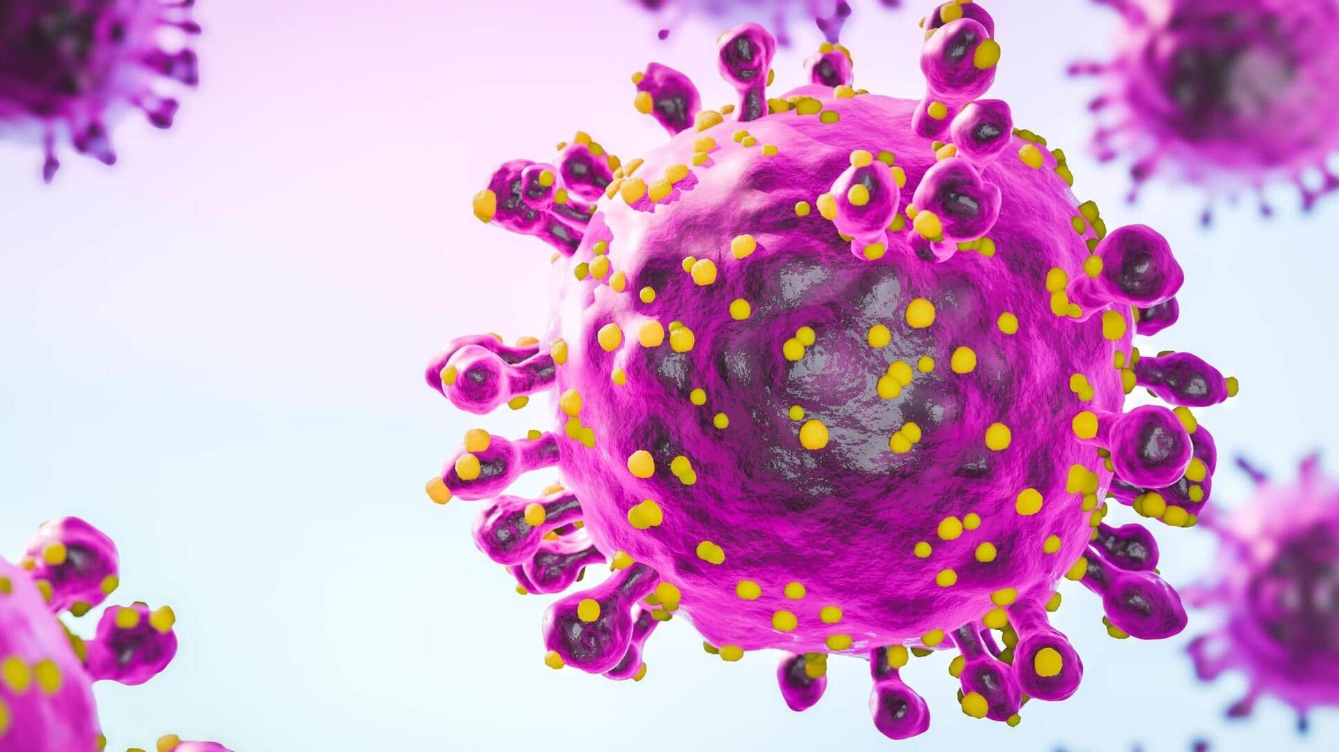 What's Oropouche virus, which may be coming to your city  