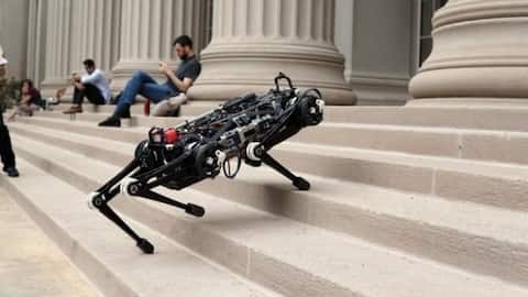 Blind Cheetah 3 robot can navigate obstacles, climb stairs