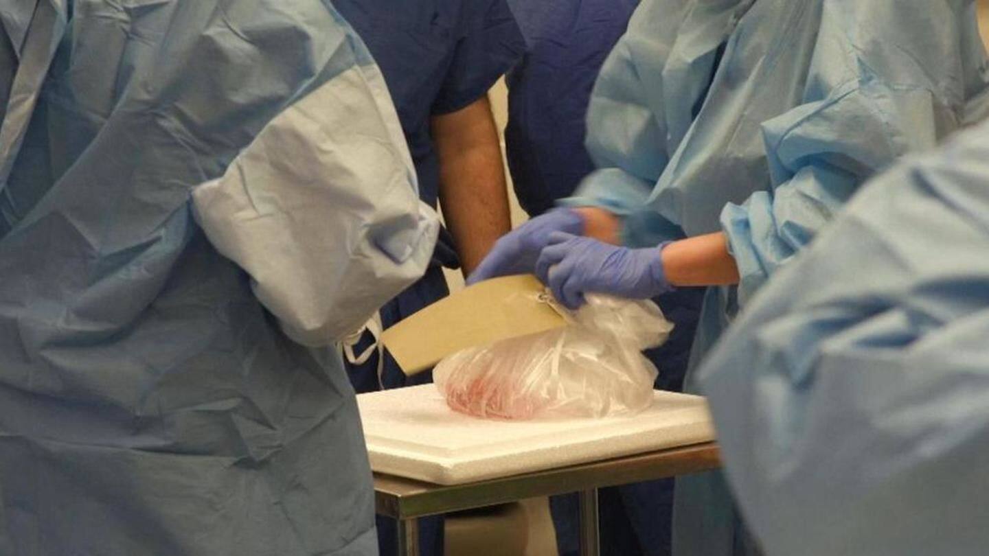 Johns Hopkins University performs world's first penis and scrotum transplant
