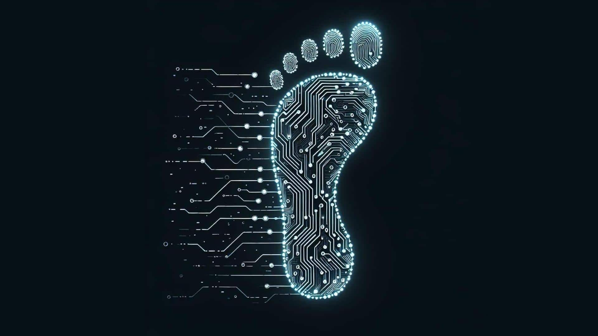 Securing your digital footprint like a pro