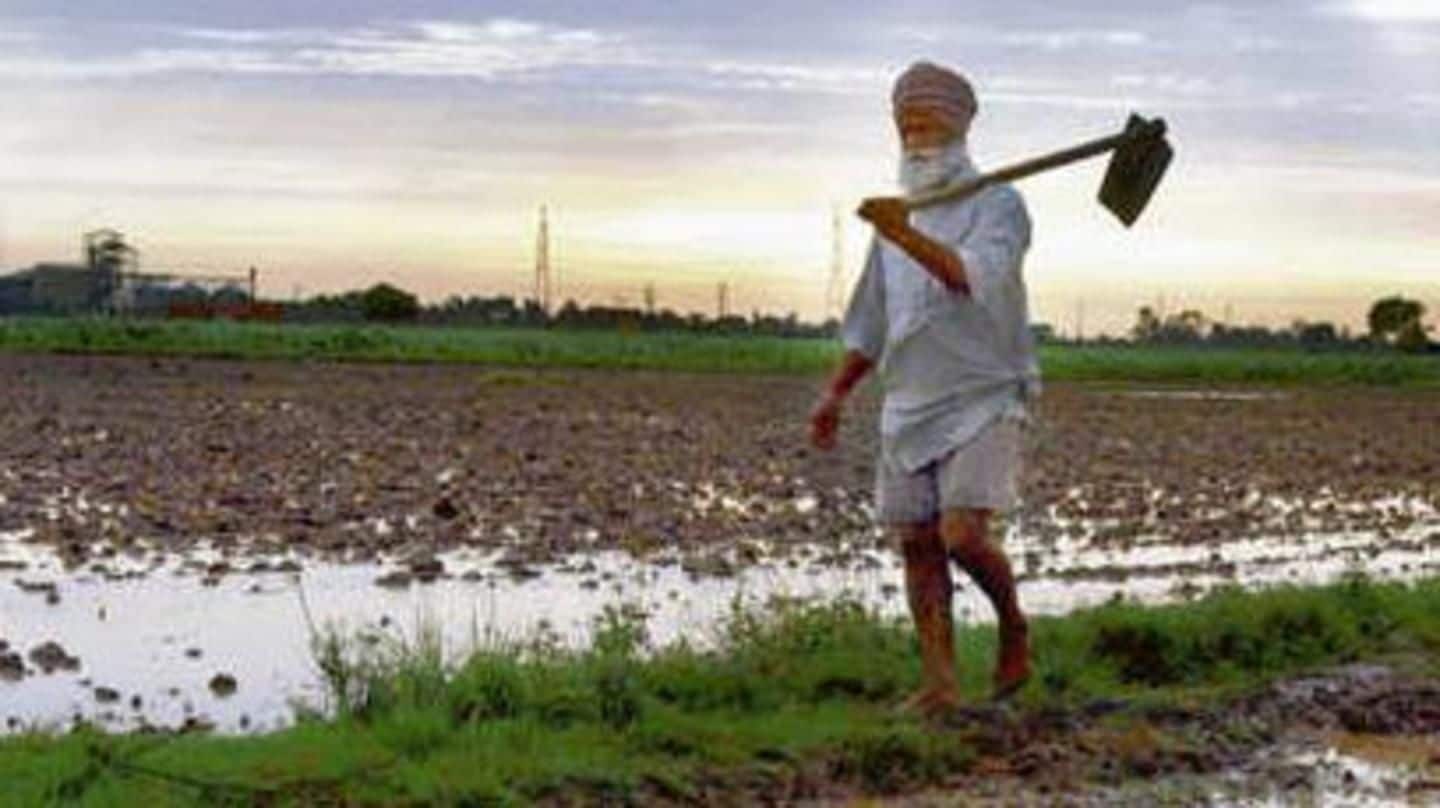 Rains lash many places in Punjab, Haryana; farmers worried
