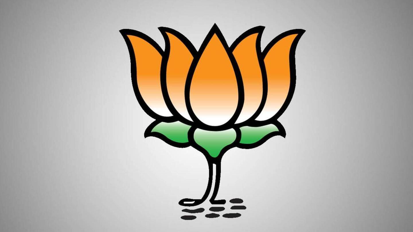 Will win 11 seats in UP Legislative Council polls: BJP
