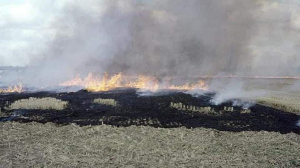 Centre to earmark Rs. 1,000 crore for curbing stubble burning