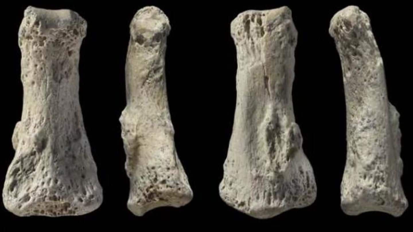 Ancient finger bone pushes back human migration from Africa