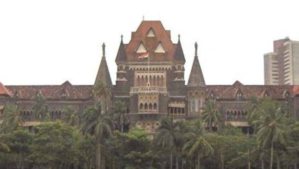 Woman seeks return of 56 pet cats from Bombay HC