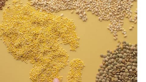 World Pulses Day: Powering nutrition and sustainability