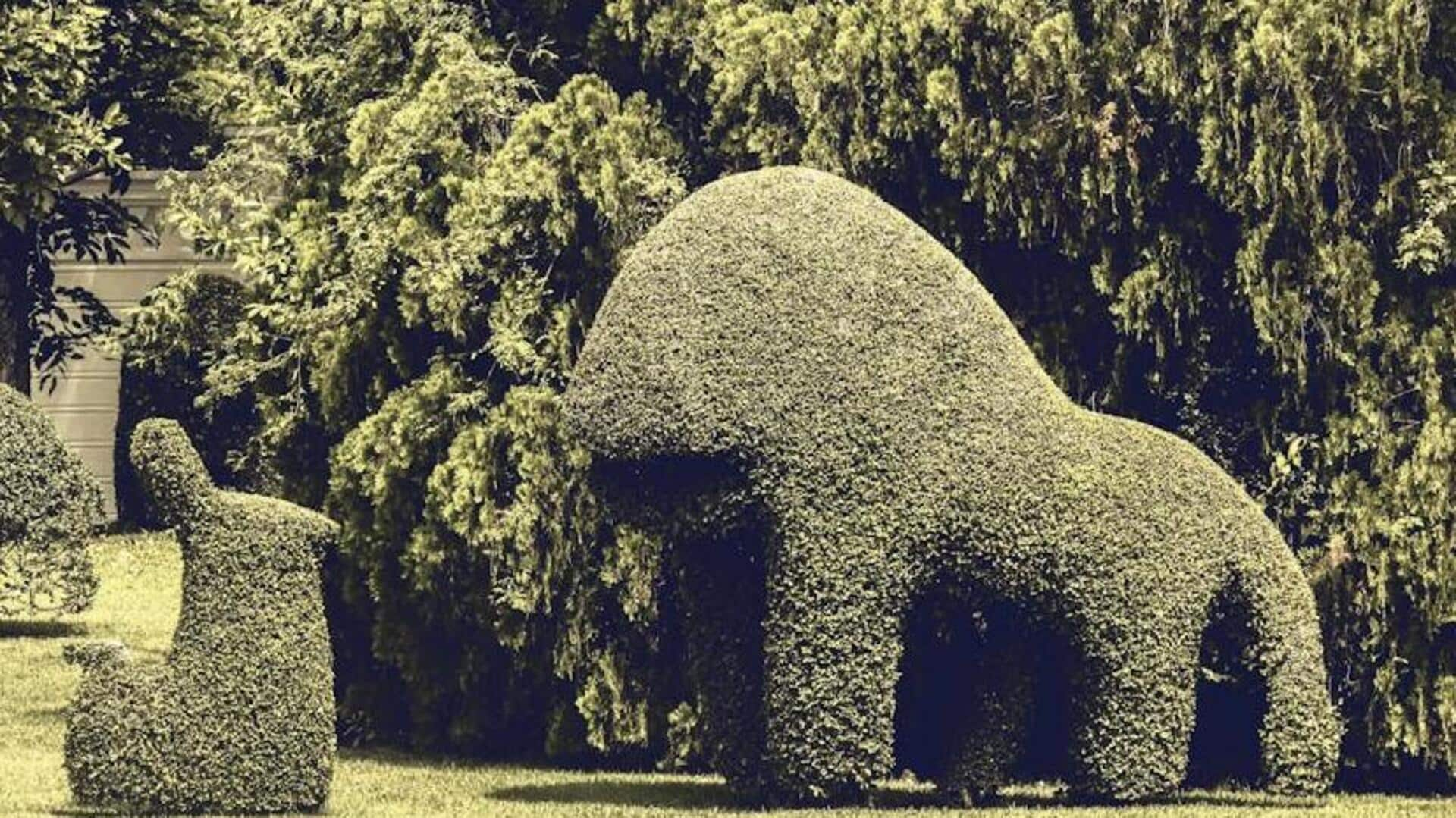 Gardens of growth: Foremost topiary artists sculpting nature