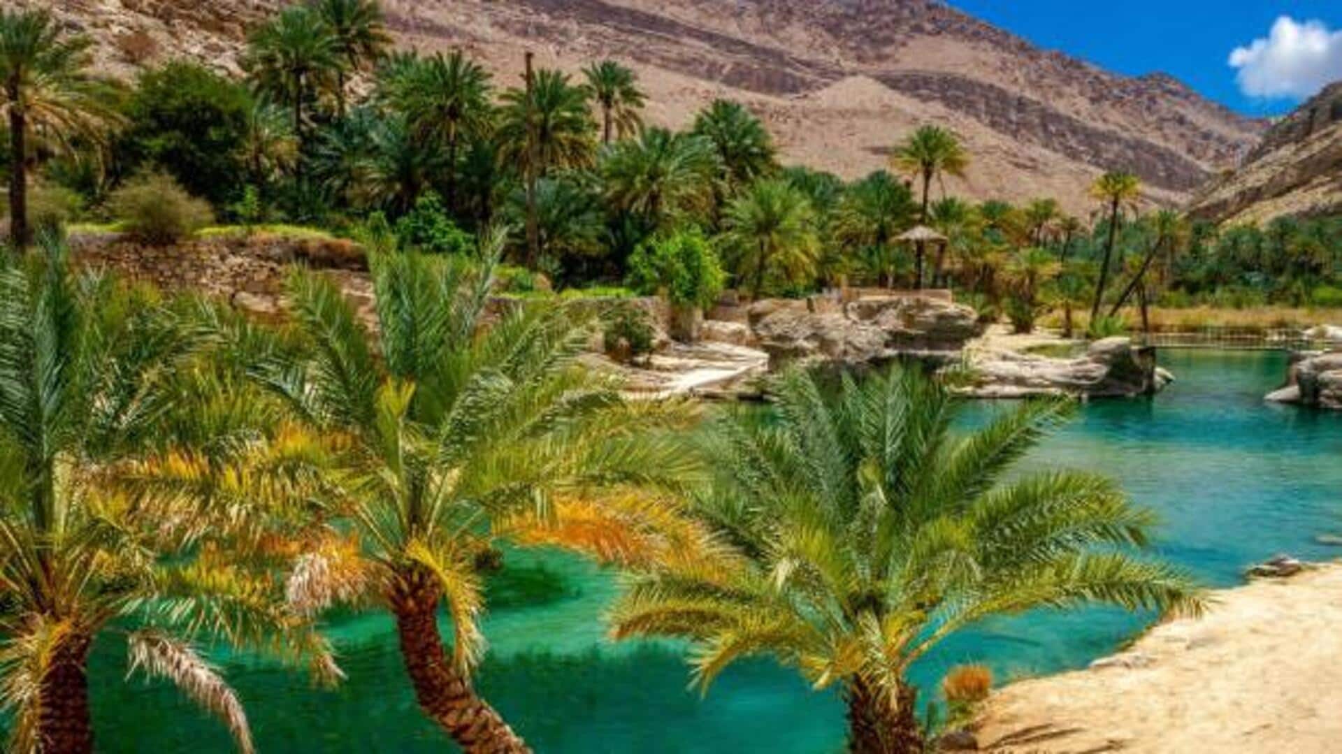 Saudi Arabia's hidden gems: Stunning desert oases