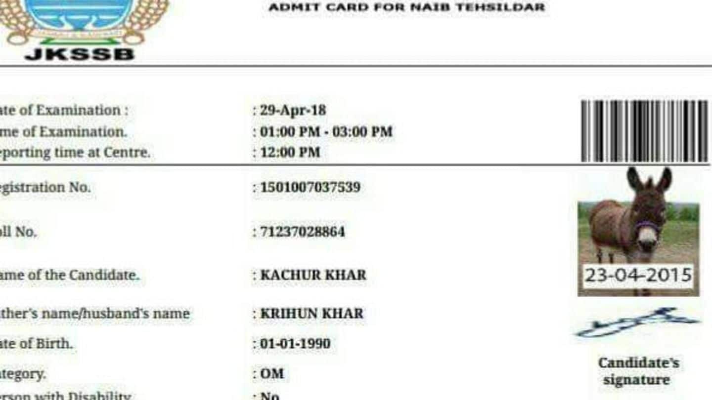 In J&K, admit card issued to donkey to write exam