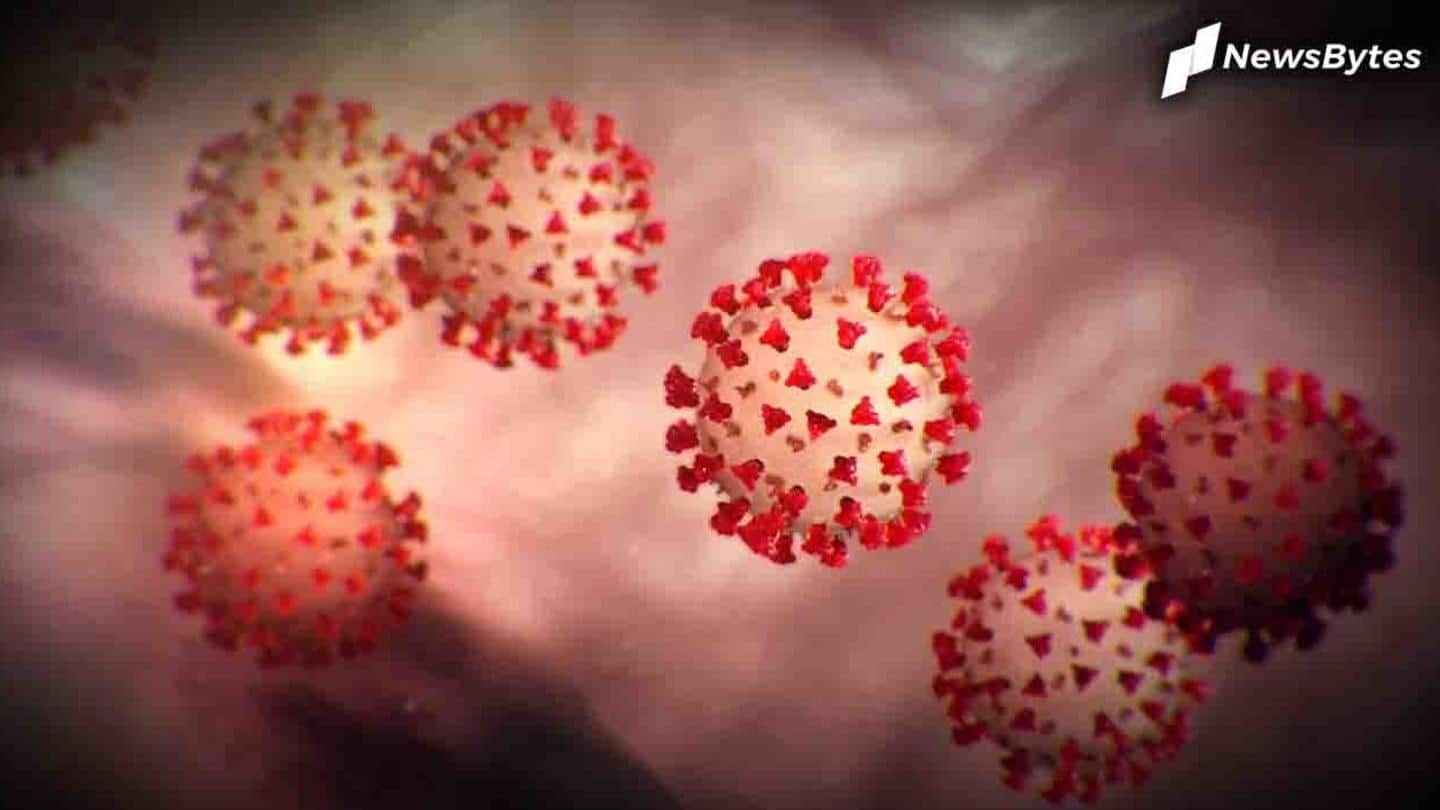 Masks to be made mandatory to stem coronavirus spread Masks to be made mandatory to stem coronavirus spread