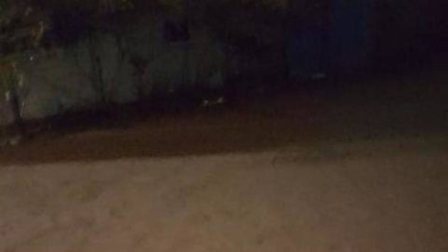 A wall collapsed in Sakhar Nagar, killing five A wall collapsed in Sakhar Nagar, killing five