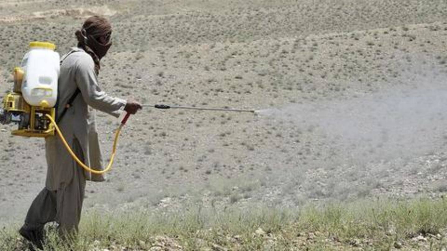 Pesticides are being sprayed in the morning Pesticides are being sprayed in the morning
