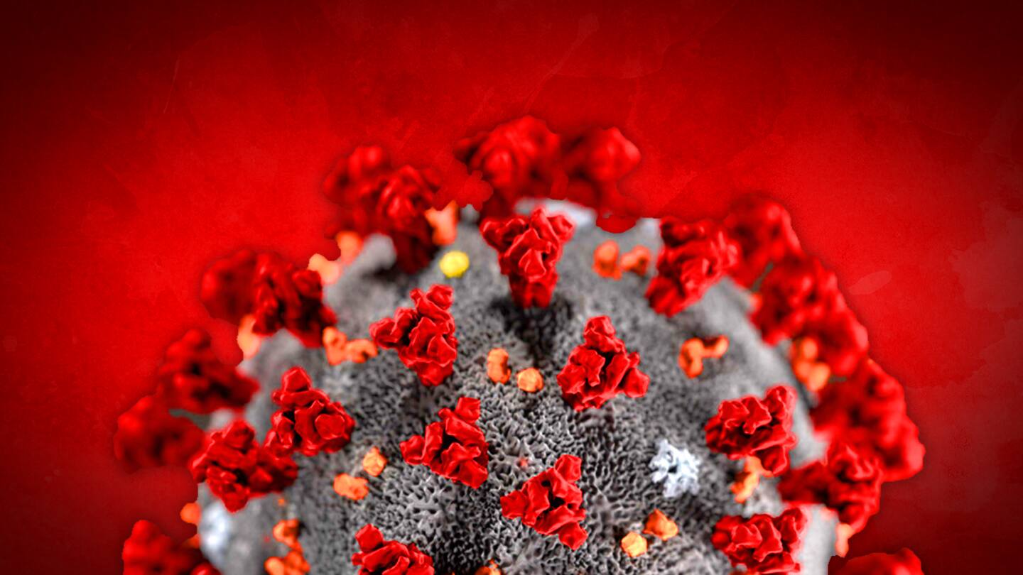Coronavirus has killed over 1,000 in the Kingdom Coronavirus has killed over 1,000 in the Kingdom