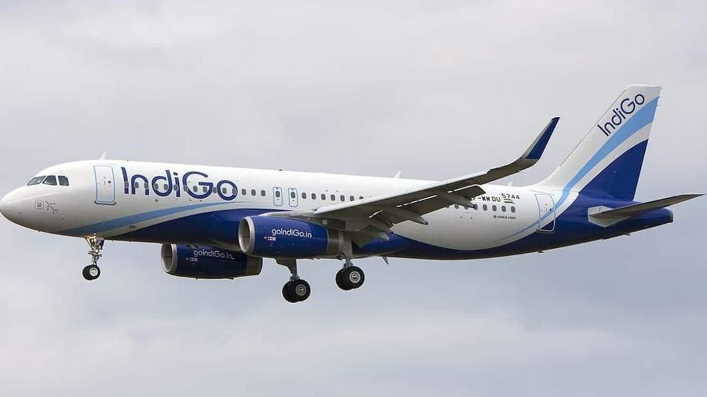 Depressed with IndiGo, employee makes hoax bomb call; gets arrested