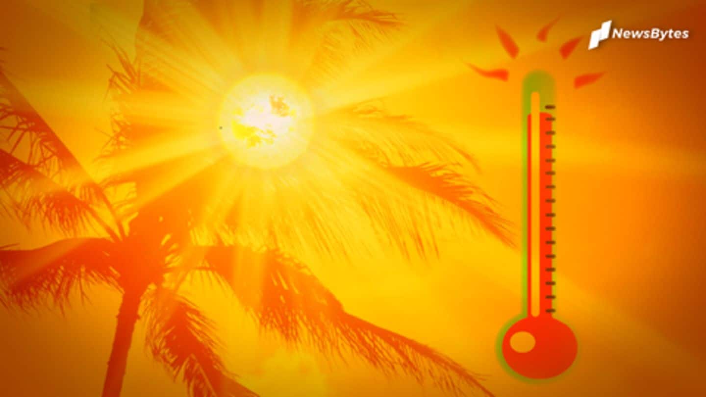 Heatwave peaks: Red alert issued in Delhi, most Northern states