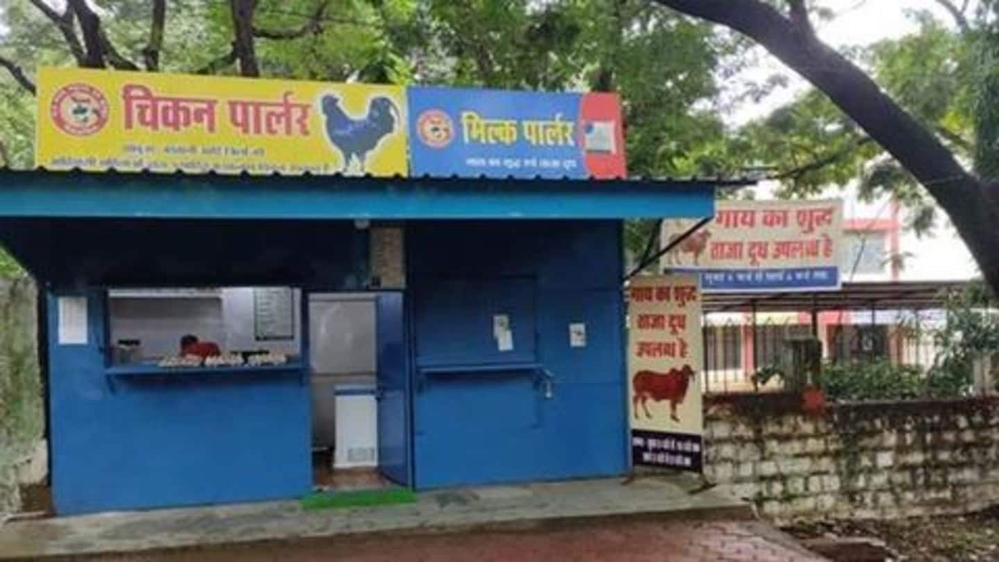 Madhya Pradesh: Shop sells milk and chicken together, BJP frowns