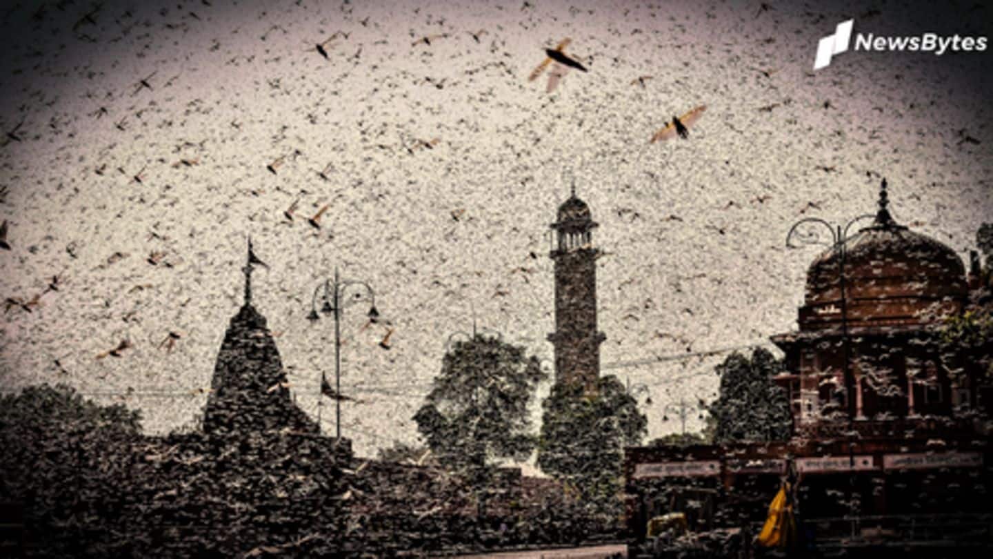 Locust invasion continues, drones being used, states remain alert