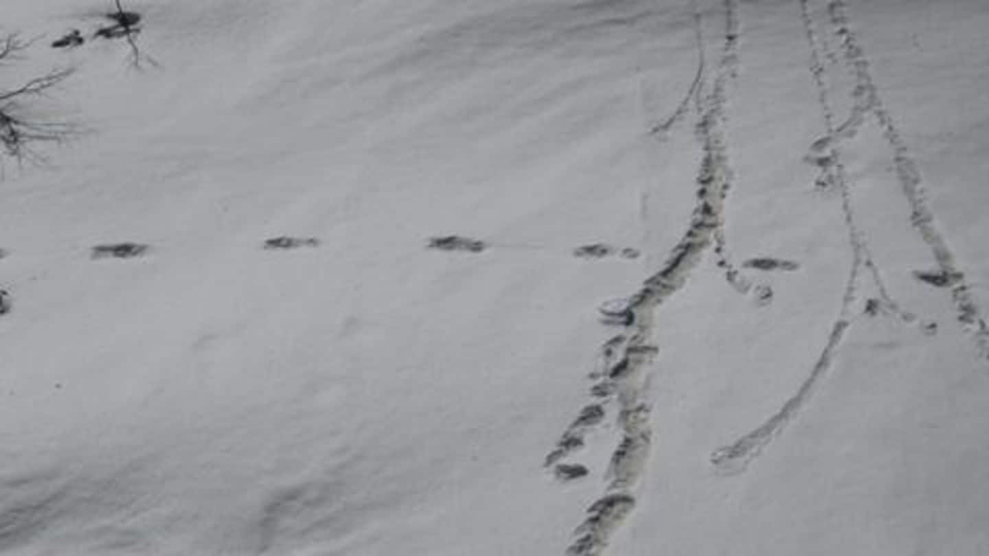 Indian Army says expedition team saw 'Yeti' footprints, shares evidence