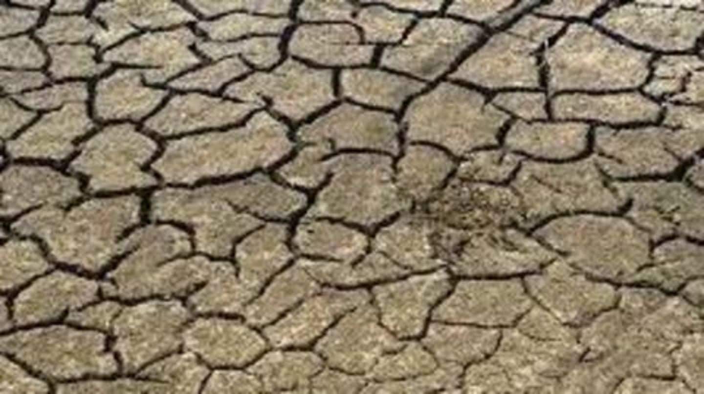 Half of Maharashtra drought-hit, farmer says no water to drink