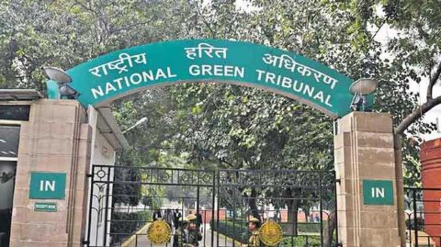 Company is liable for loss of lives, NGT said Company is liable for loss of lives, NGT said