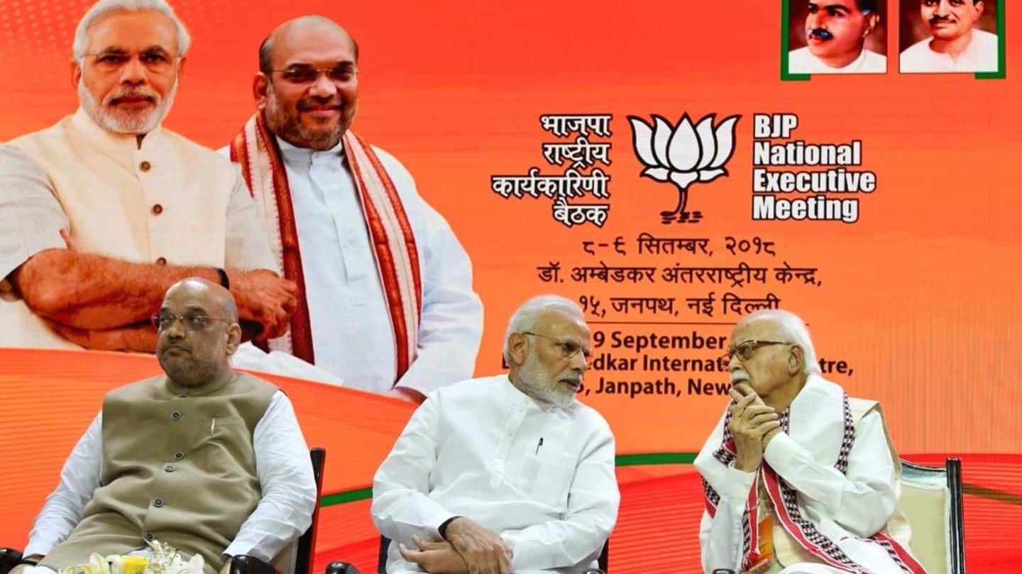 Slogan, strategy and more: Highlights of BJP's National Executive meet