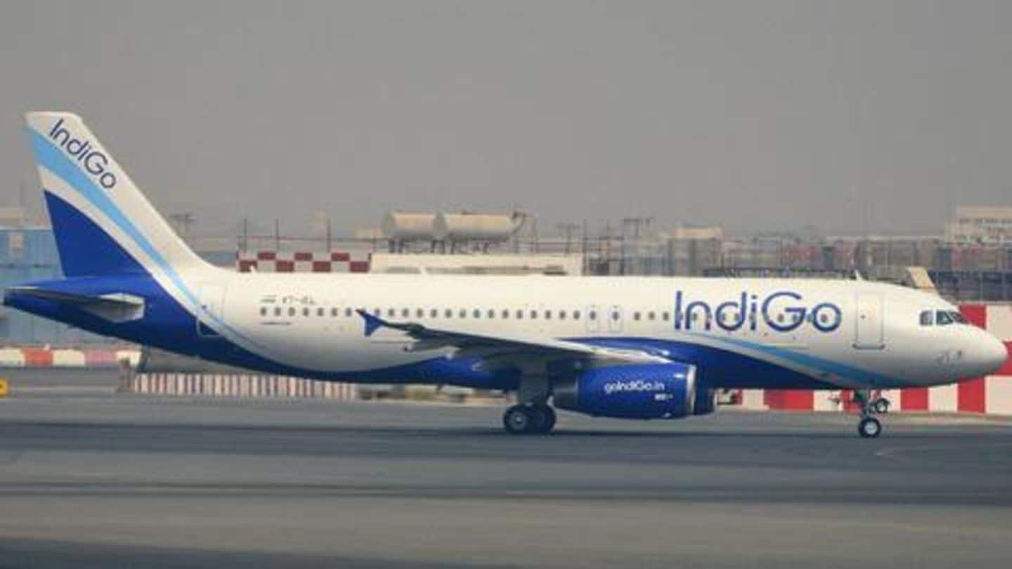 IndiGo ordered to compensate fliers who found cockroach on flight