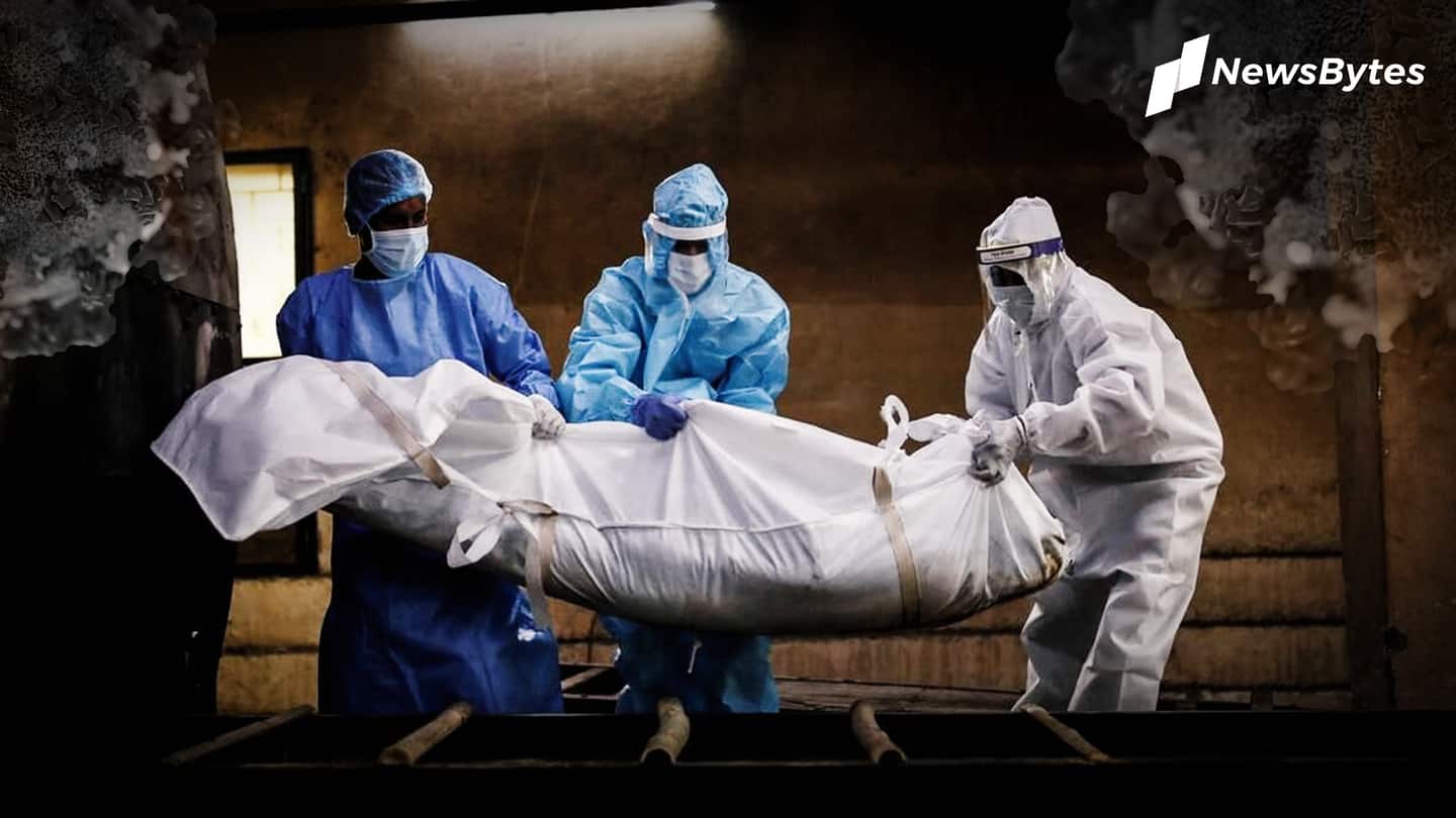 Coronavirus killed 382 doctors, angry IMA slams Modi government's apathy