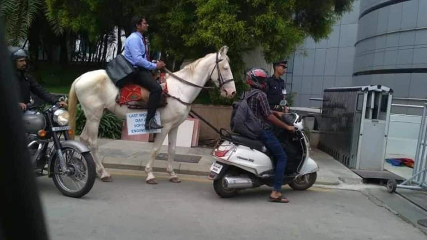 Bengaluru: The reason behind techie's horse-ride to work needs attention