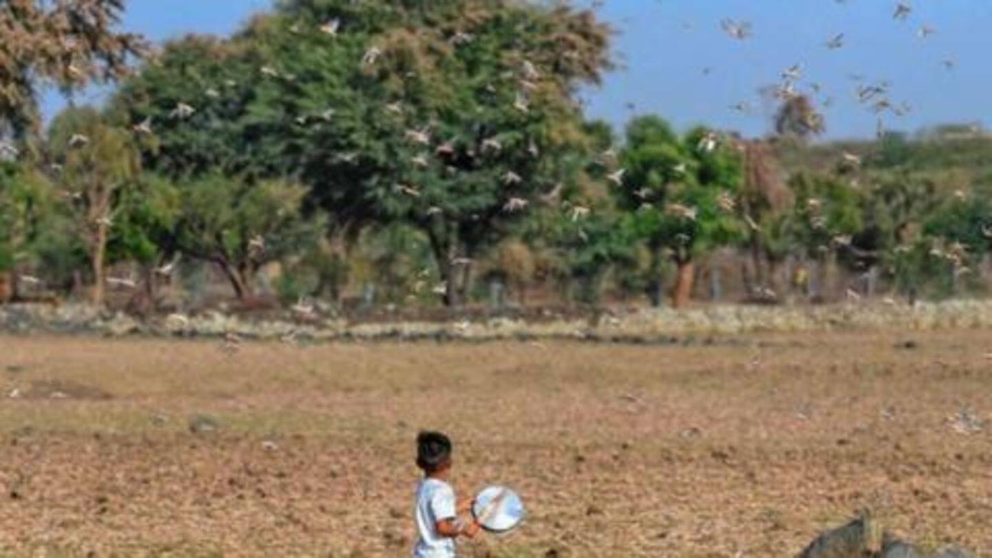 Farmers were asked to generate sound to scare them away Farmers were asked to generate sound to scare them away