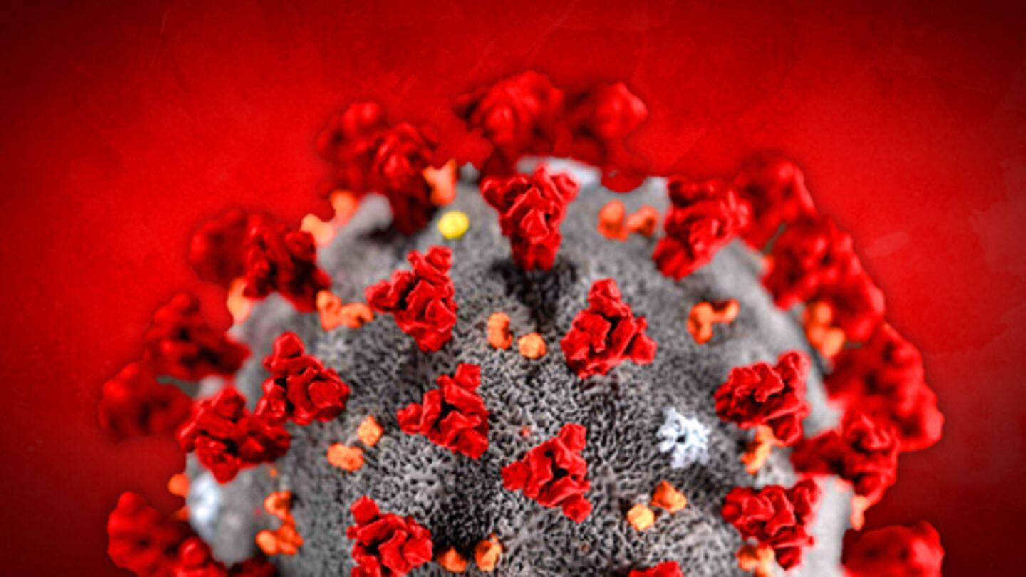 From its home China, coronavirus traveled and troubled the world From its home China, coronavirus traveled and troubled the world