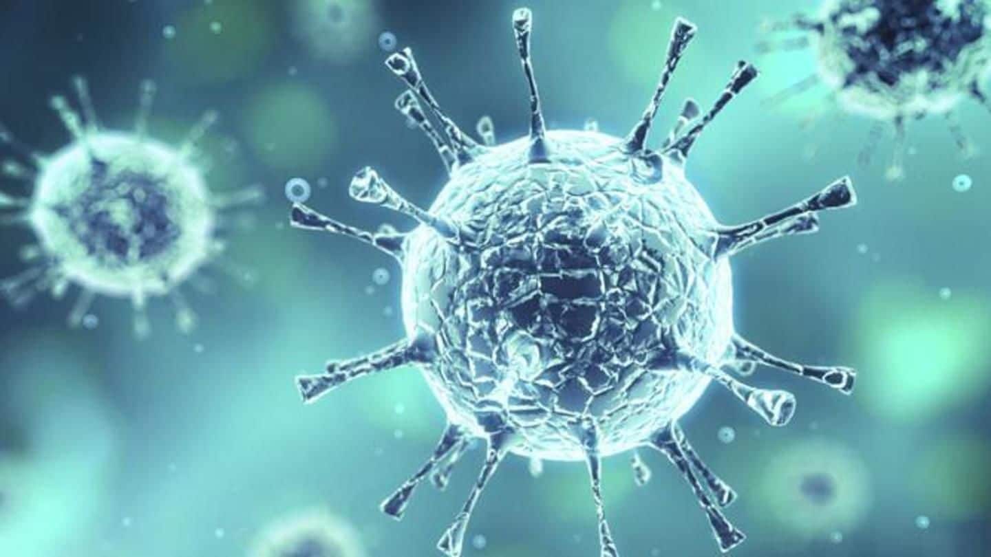 Kerala: Panic grips locals after unknown-virus kills three in family